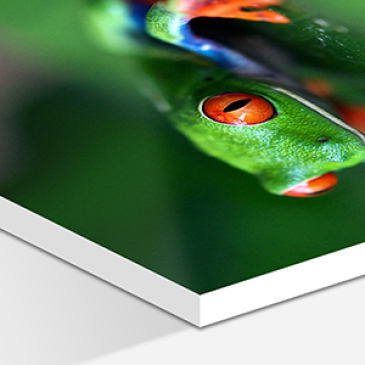 Tirage photo monté sur support rigide PVC.